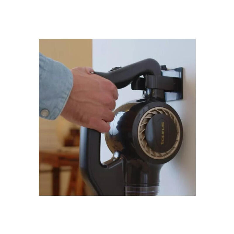 Aspirador Escoba Taurus Homeland Endless