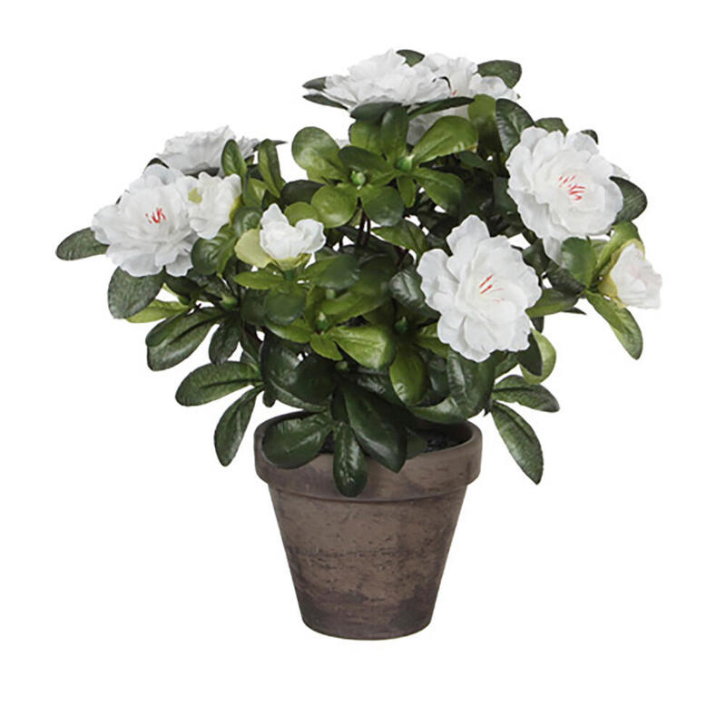 Azalea Artificial Blanca En Tiesto Gris Ø11,5x27cm
