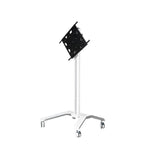 B-Tech Rollwagen 1000x900 -125kg 65-110'' Ablage Negro