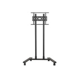 B-Tech Rollwagen 600x400 -70kg Bis 75'' Hochformat Querformat
