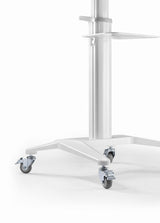 Gembird Aluminum Tv Floor Stand With Caster Wheels 37-70" White