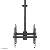 Newstar Soporte De Techo Para Tv