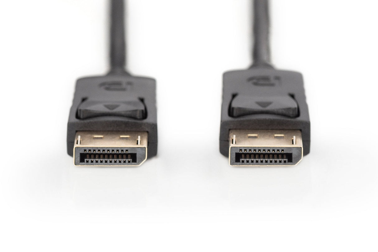 Cable Display Port 20 Macho-Macho 10m