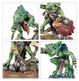 Warhammer Aos - Spearhead Seraphon (2025)