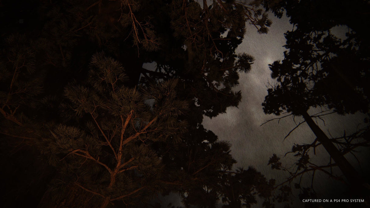 Videojuego Para Ps4 The Last Of Us Parte 2