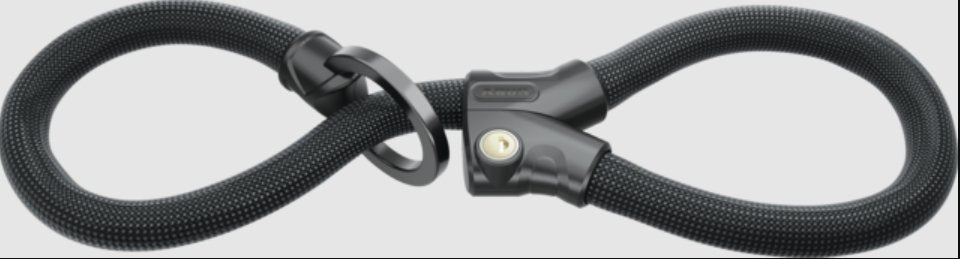 EAN 4003318381140 - ABUS 1806/110 Negro 1100 mm Candado con cadena imagen 1