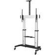 EAN 0065030888004 - StarTech.com STNDMTV100 soporte para TV 2,54 m (100") Negro, Plata imagen 1