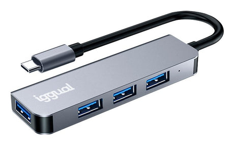 EAN 8435364319239 - iggual IGG319239 hub de interfaz USB 3.2 Gen 1 (3.1 Gen 1) Type-C 5000 Mbit/s Plata imagen 1