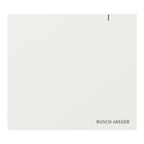 EAN 4011395346068 - Busch-Jaeger 2CKA006200A0868 placa de pared y cubierta de interruptor Blanco imagen 1