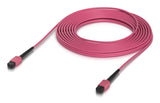 Indoor Om4 Multi-Mode Fiber  Patch Cable With Mpo-12 Type