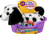 Moose Toys Little Live Pets My Really Real S2 Puppy Mini - Pepper, Peluche 26651