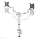 Neomounts By Newstar Soporte De Escritorio 17"-27" 2 Monitores 3gelenk Blanco Max.8kg