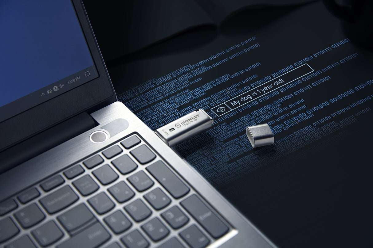 EAN 0740617329391 - Kingston Technology IronKey Locker+ 50 unidad flash USB USB tipo A 3.2 Gen 1 (3.1 Gen 1) Plata imagen 10