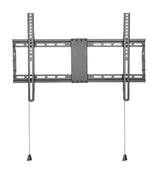 Basic Large Wall Mount