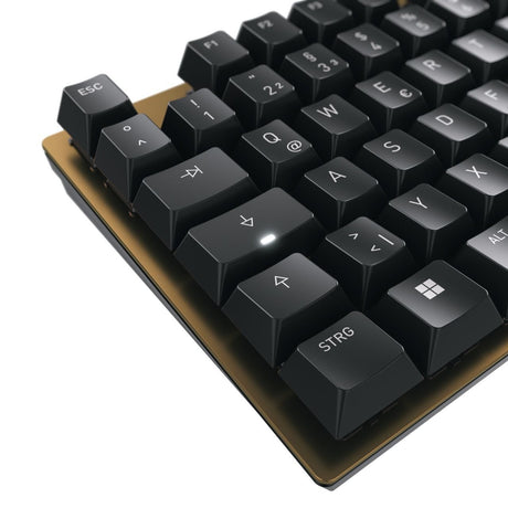 EAN 4025112107559 - CHERRY KC 200 MX teclado Universal USB QWERTY Inglés Negro, Bronce imagen 5