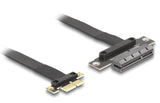 Delock Riser Karte Pci Express 3.0 X1 Stecker Zu X4 Slot Mit Cable 30 Cm