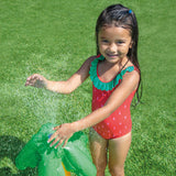 Centro De Juegos Agua Dinosaurios