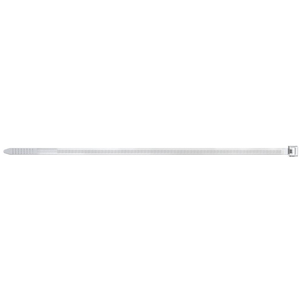 EAN 4006209874806 - Fischer BN 2,5 x 200 presilla Brida tipo escalera Nylon Transparente 100 pieza(s) imagen 1