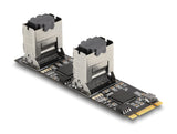 Delock Convertidor M.2 2280 Key B+M Macho A 8 X Sata