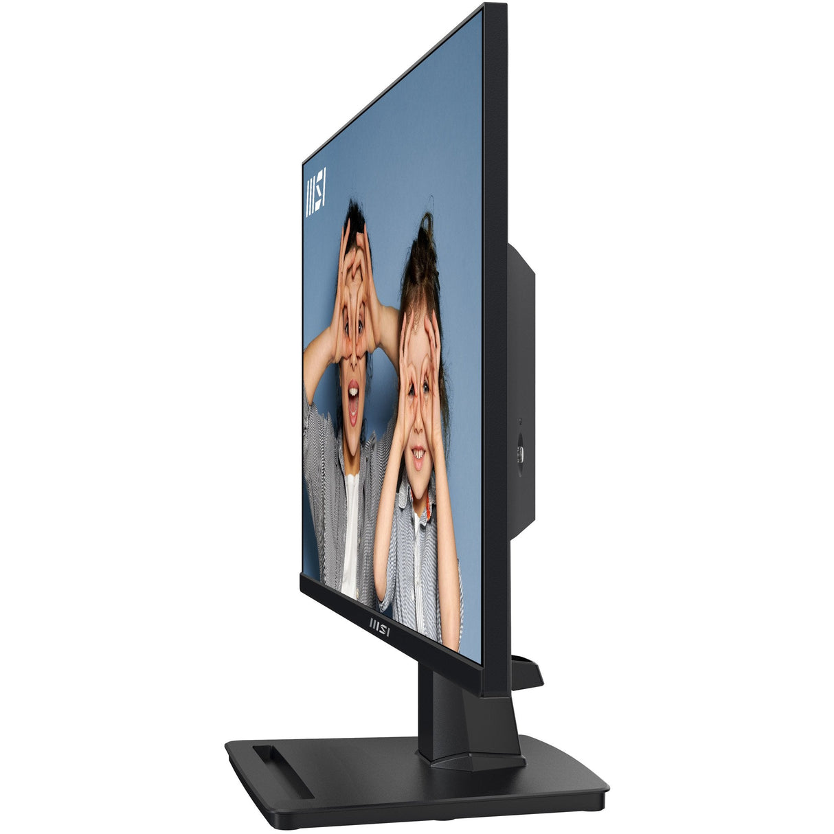 Monitor Led 23.8  Msi Pro Mp251 Negro 1ms/100hz/Ips Fhd/Hdm