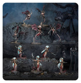 Warhammer Aos - Battleforce Daughters Of Khaine Coterie De Moirenees