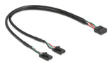 Delock Cable Usb 2.0 Pfostenhembra 2,54 Mm 10 Pin A 2 X Usb 2.0