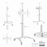 Gembird Aluminum Tv Floor Stand With Caster Wheels 37-70" White