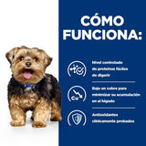 EAN 52742042459 - Hills 605901 alimento húmedo para perros Ternera Universal 10 kg imagen 4