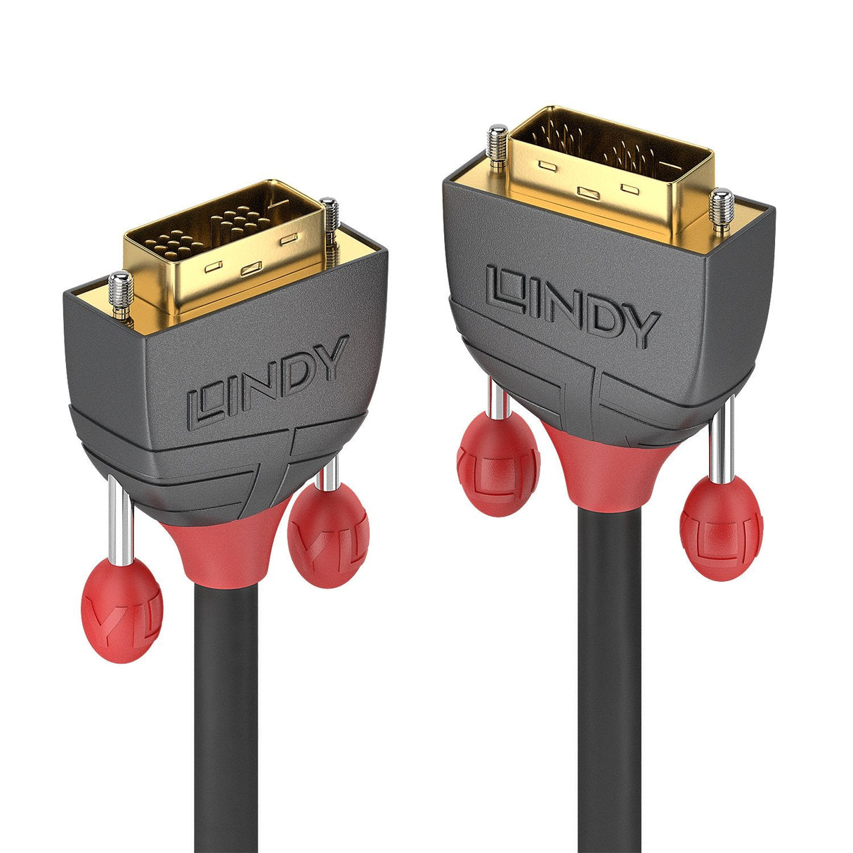 Lindy 36243 Cable Dvi 25 M Dvi-D Negro