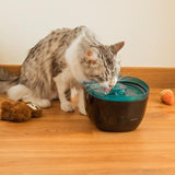 Cecotec Pumba 2200 Refresh