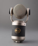 Micrófono Blue Microphones Mouse Negro De Estudio