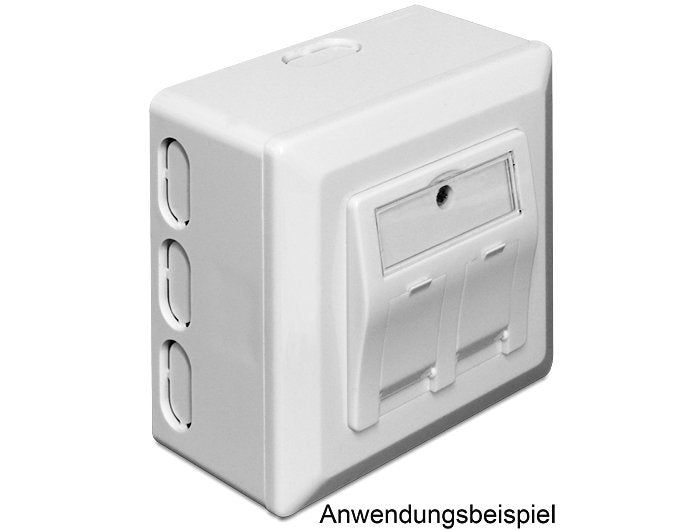 Delock Back Para Keystone Wall Outlet
