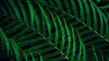 EAN 8721038001747 - Philips 5000 series 24B2G5301/00 pantalla para PC 60,5 cm (23.8") 1920 x 1080 Pixeles Full HD LCD Negro imagen 15