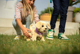Zapf Creation Baby Born Mein Hund Lucky Con Box 842133