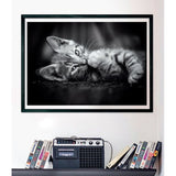 Puzzle Kitty High Quality 1000pzs