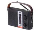 Radio Bluetooth Portable Solar  Usb Micro Sd Tws Trevi Ra 7f25 Bt
