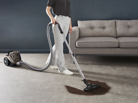 EAN 3221616093102 - Rowenta Compact Power XXL RO4B30 2,5 L Aspiradora cilíndrica Secar 900 W Sin bolsa imagen 2