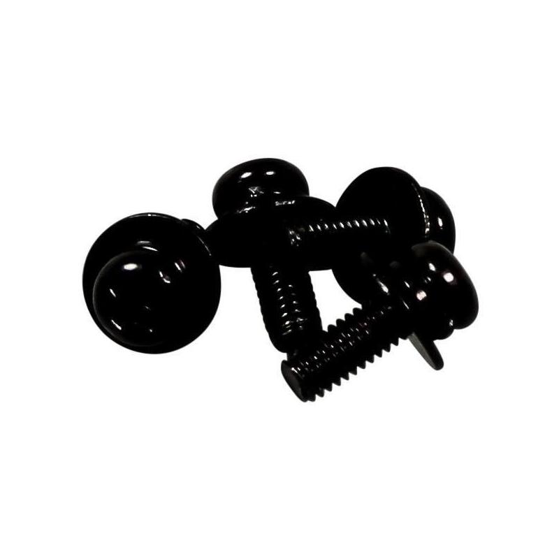Bag Screw Assembly 455833001