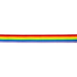 Pride - Banda Bandera Lgbt