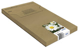 Epson Daisy Multipack 4-Colours 18xl Easymail
