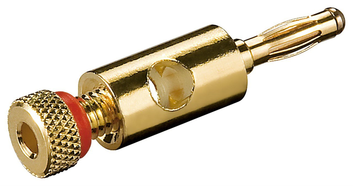 Conector  Banana 4mm Macho  Rojo Conex. Tornillo