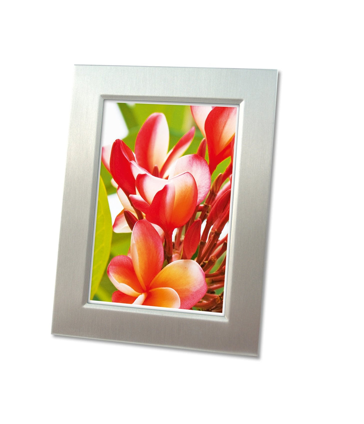 Avery Zwckform Papel Fotográfico Premium De Alto Brillo 250 G A4