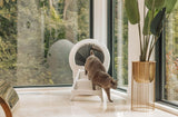 Whisker Litter-Robot 4 Ramp, White