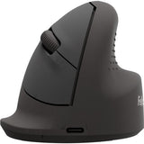 Ratón Fellowes 100143579 Bluetooth Usb Type-C 1600 Dpi Negro Ergonómico Vertical