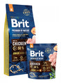 EAN 8595602526338 - Brit 8595602526338 comida seca para perros 15 kg Junior Pollo imagen 1