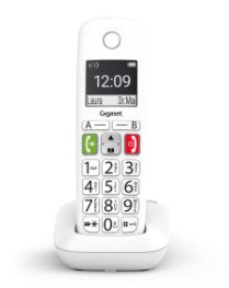 Telefono Fijo Inalambrico Gigaset E290 Duo Blanco 300 Numeros -  42 Tonos
