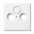 EAN 4011395996416 - Busch-Jaeger 1743-84 placa de pared y cubierta de interruptor Blanco imagen 1