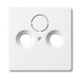 EAN 4011395996416 - Busch-Jaeger 1743-84 placa de pared y cubierta de interruptor Blanco imagen 1
