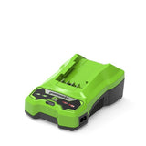 EAN 6952909062853 - Greenworks 2932407 cargador y batería cargable Cargador de batería imagen 1