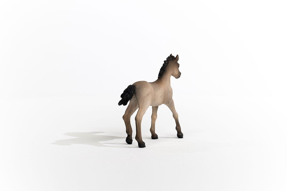 Schleich Horse Club     13949 Criollo Definitivo Fohlen